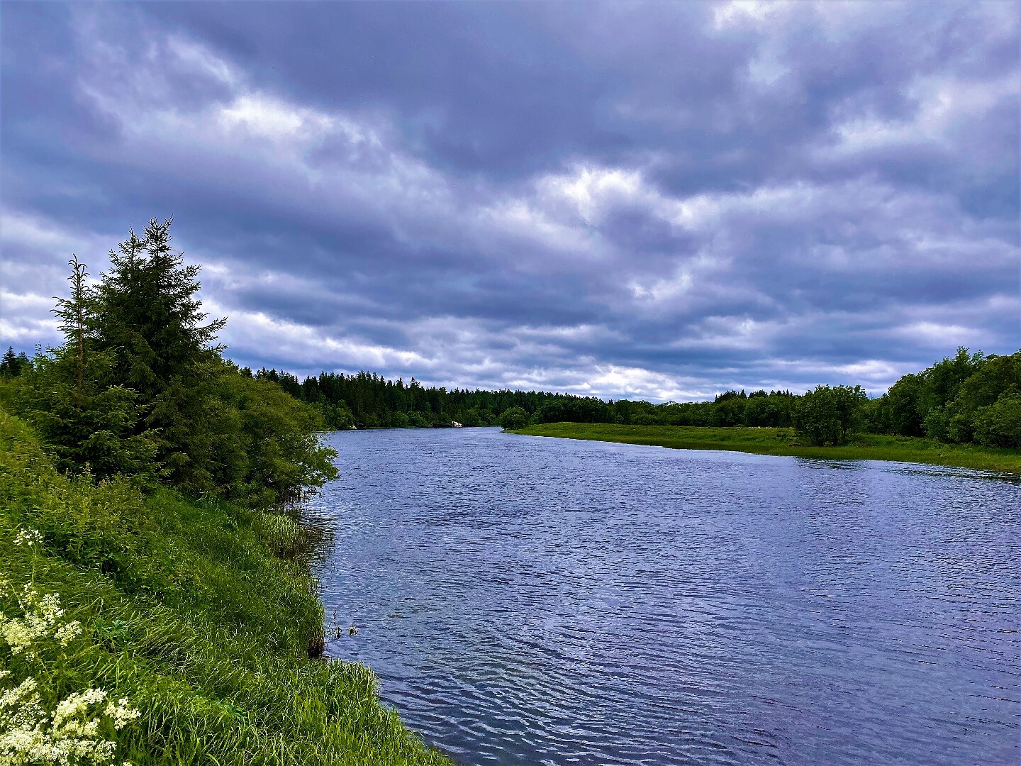 Река кула. Кулой (река, впадает в белое море). Пинега Архангельская область. Кулой Архангельская область.