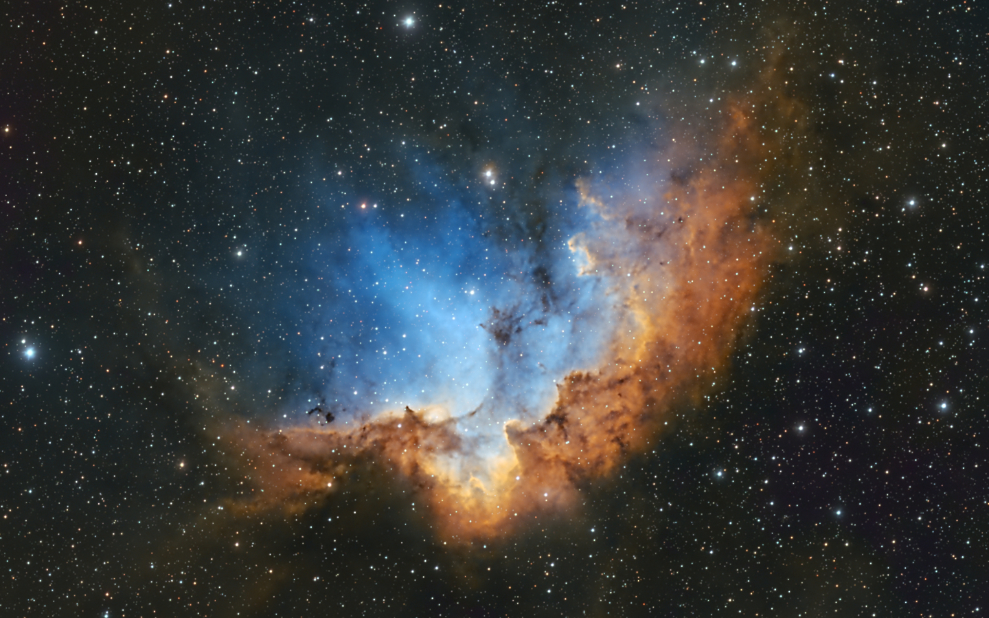 цвет космоса