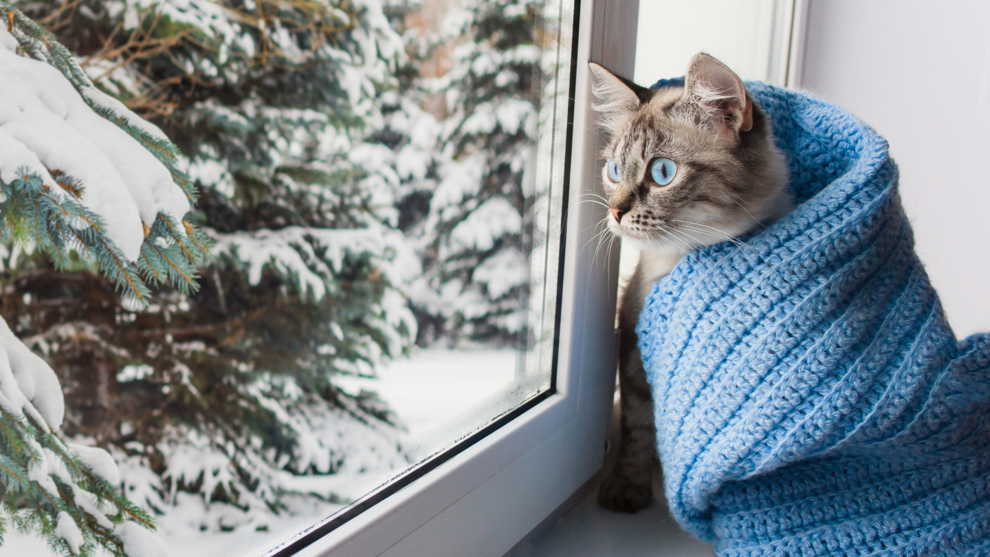 Прогноз погоджы