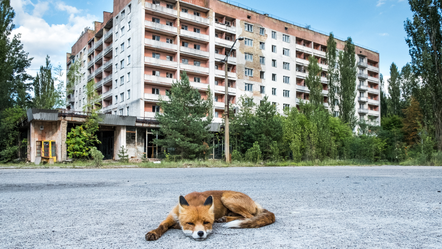 Чернобыль