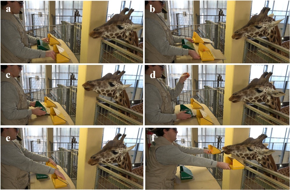 эксперимент