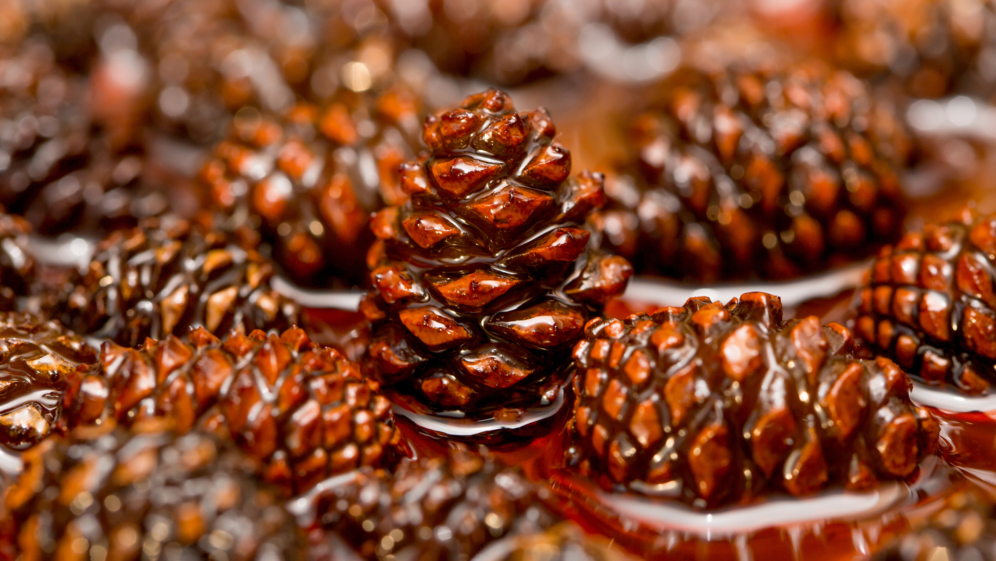 интересные факты