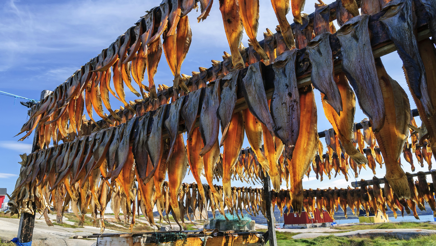 кухня гренландии