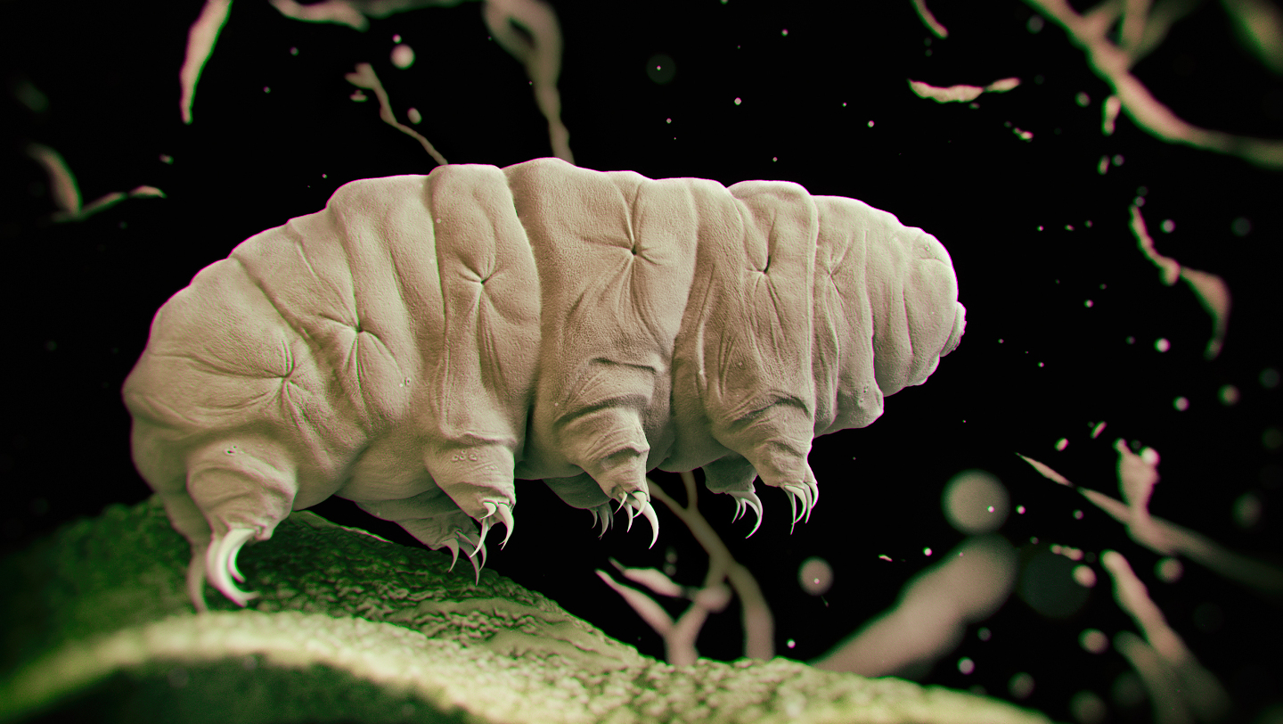 Ледниковые мыши