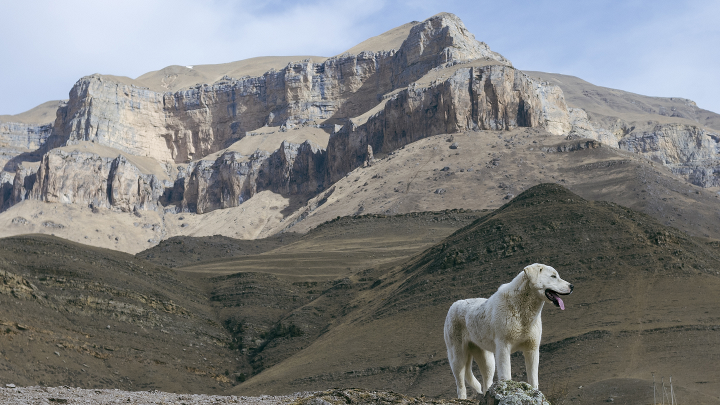 Повелитель гор. Снято в Кабардино-Балкарии