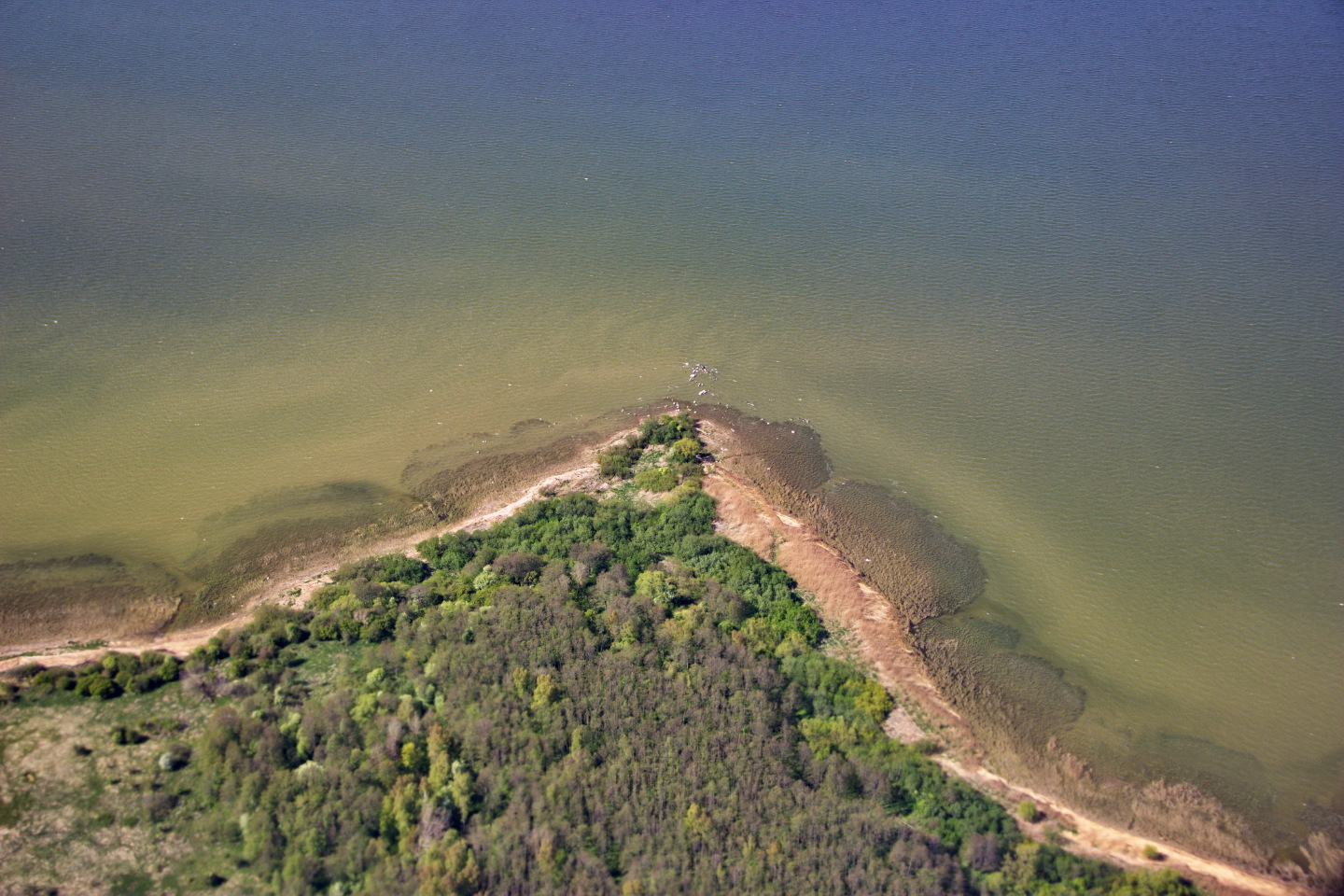 Острова в нейтральных водах