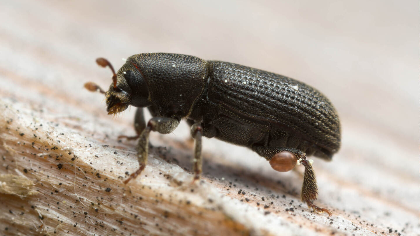 Уссурийский полиграф