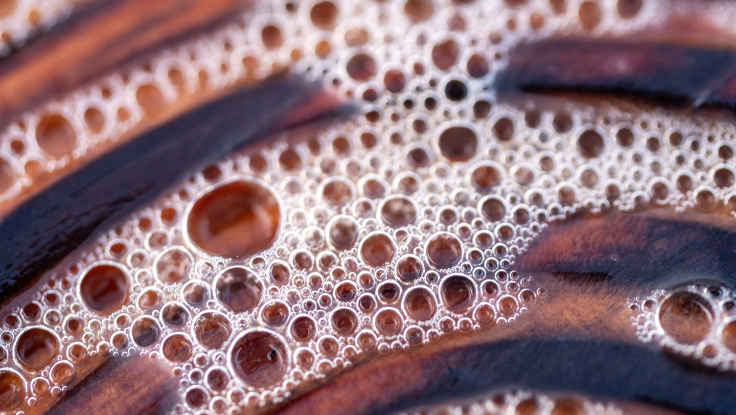 как питаются бактерии, нефть