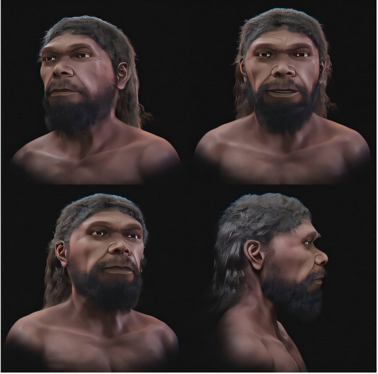 Homo sapiens