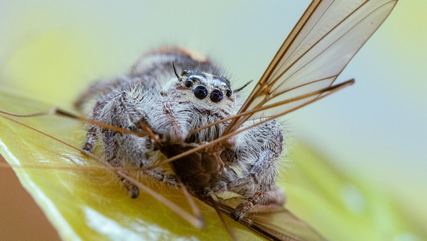образ жизни