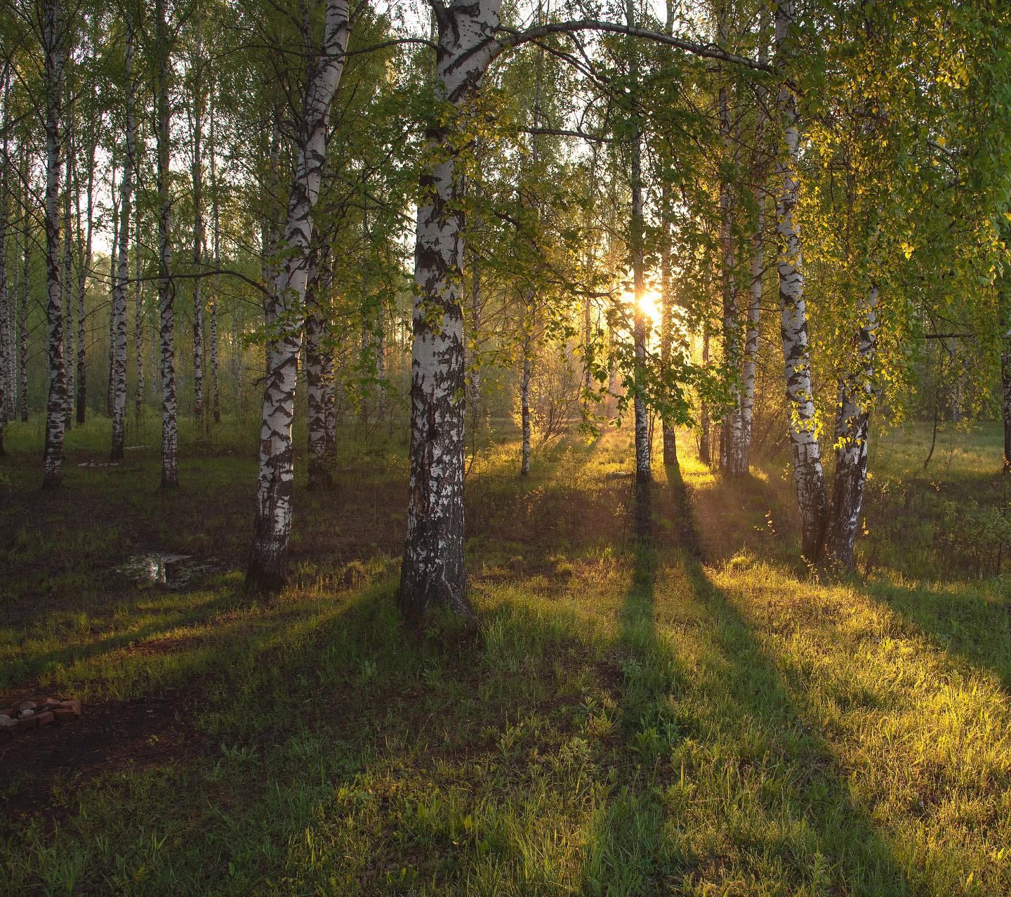 Как сделать красивое фото на документы: 7 секретов удачных фотографий