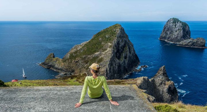 Новая Зеландия - Рождество летом