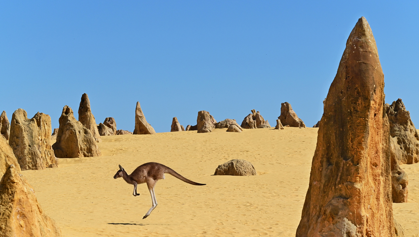 как развивалась природа 