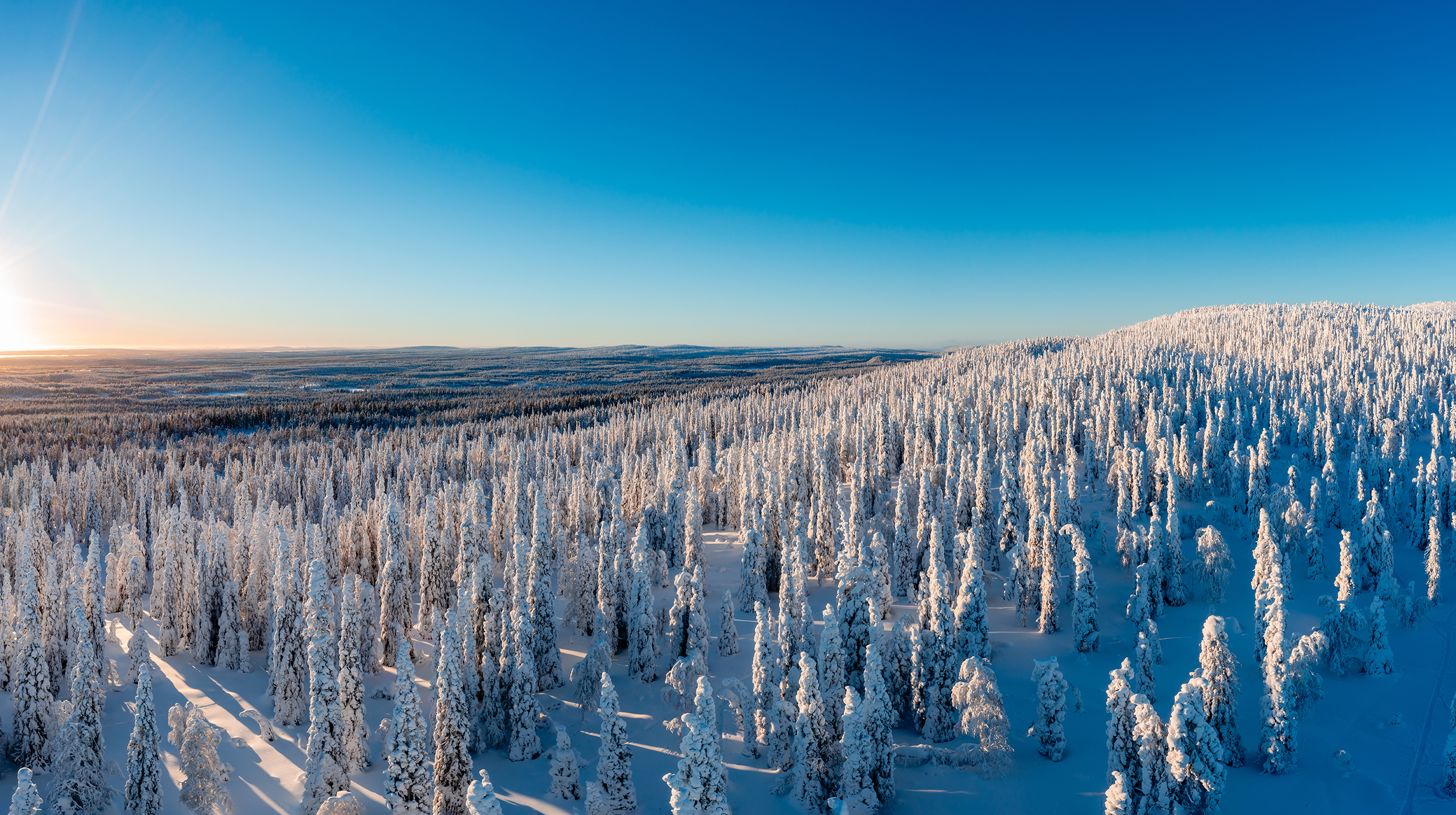 запахи земли