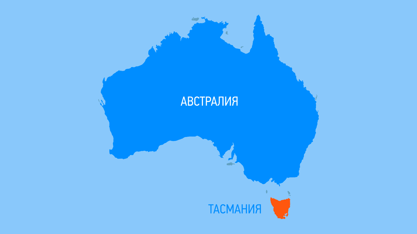 Где обитали сумчатые волки