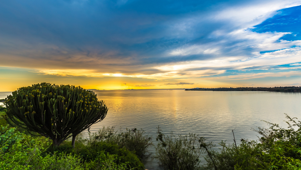 Озеро Виктория