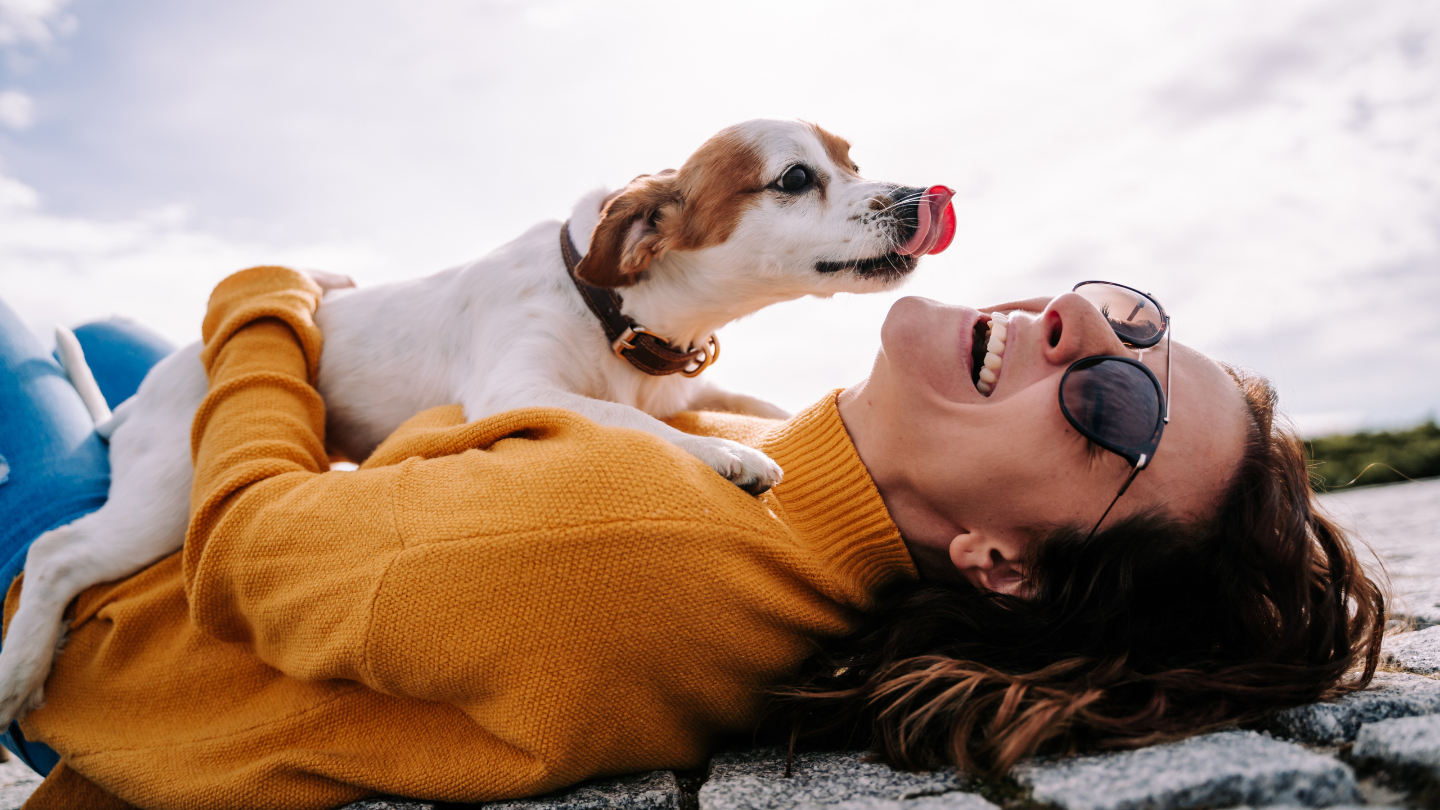 Язык, животные