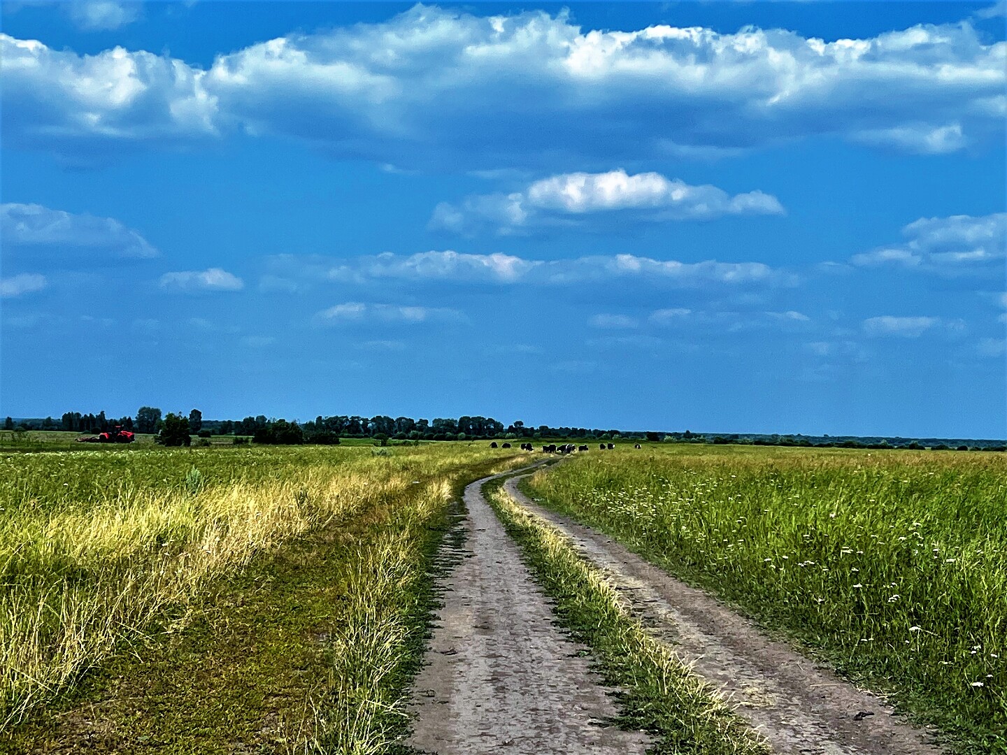 Д старая