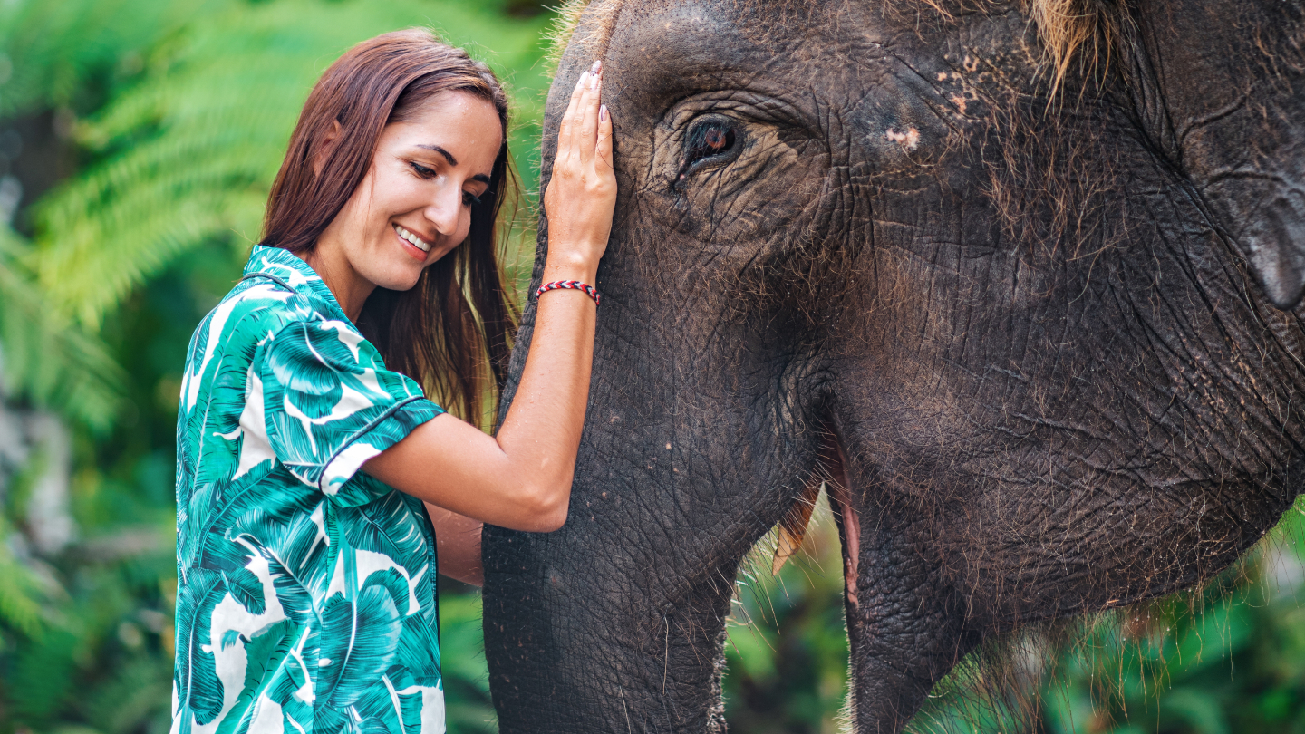 Язык,животные