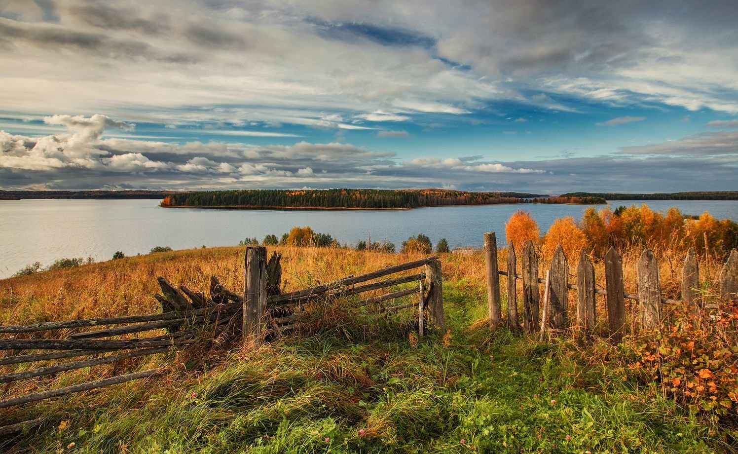 фото кенозерский парк