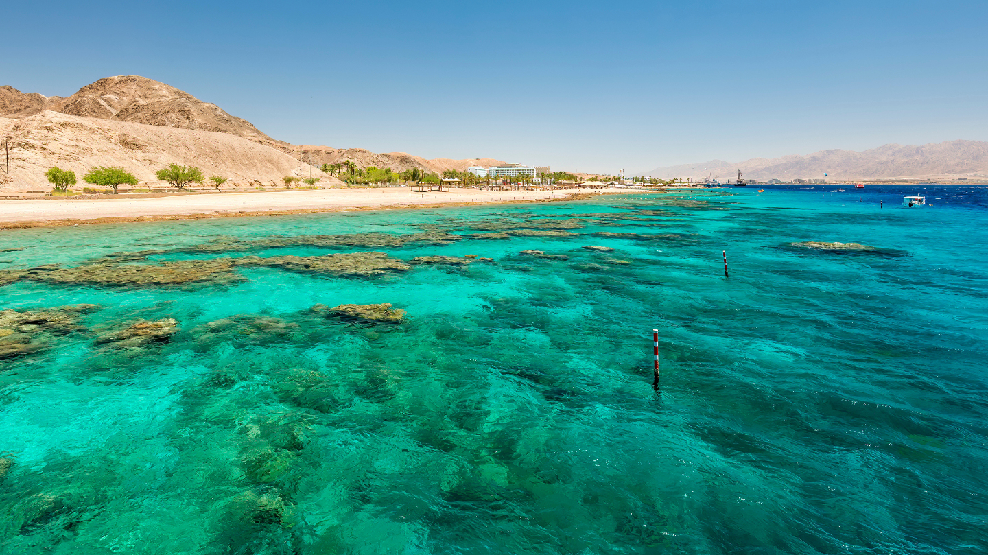 красное море