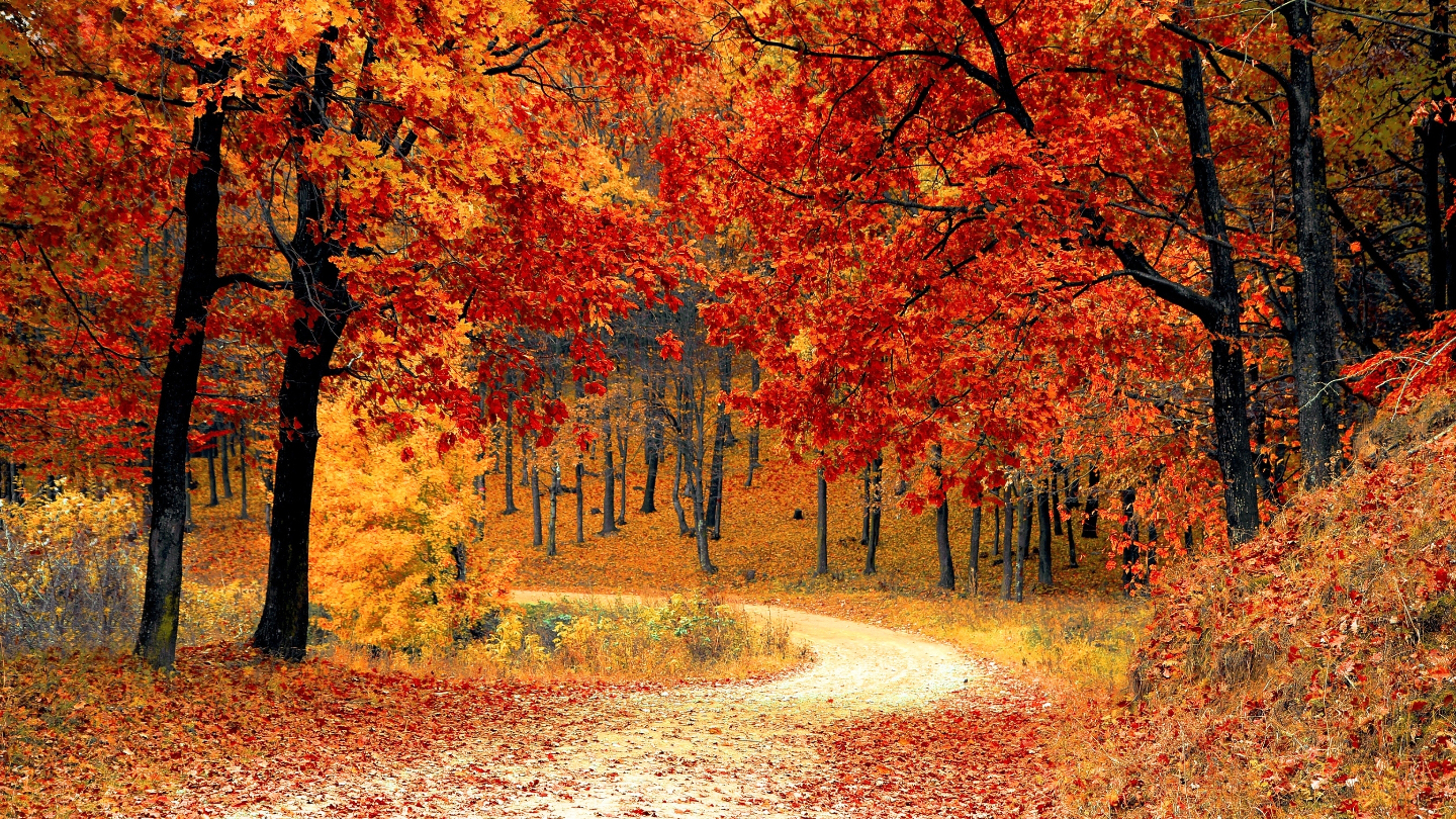 RuslanKphoto /Shutterstock/FOTODOM
