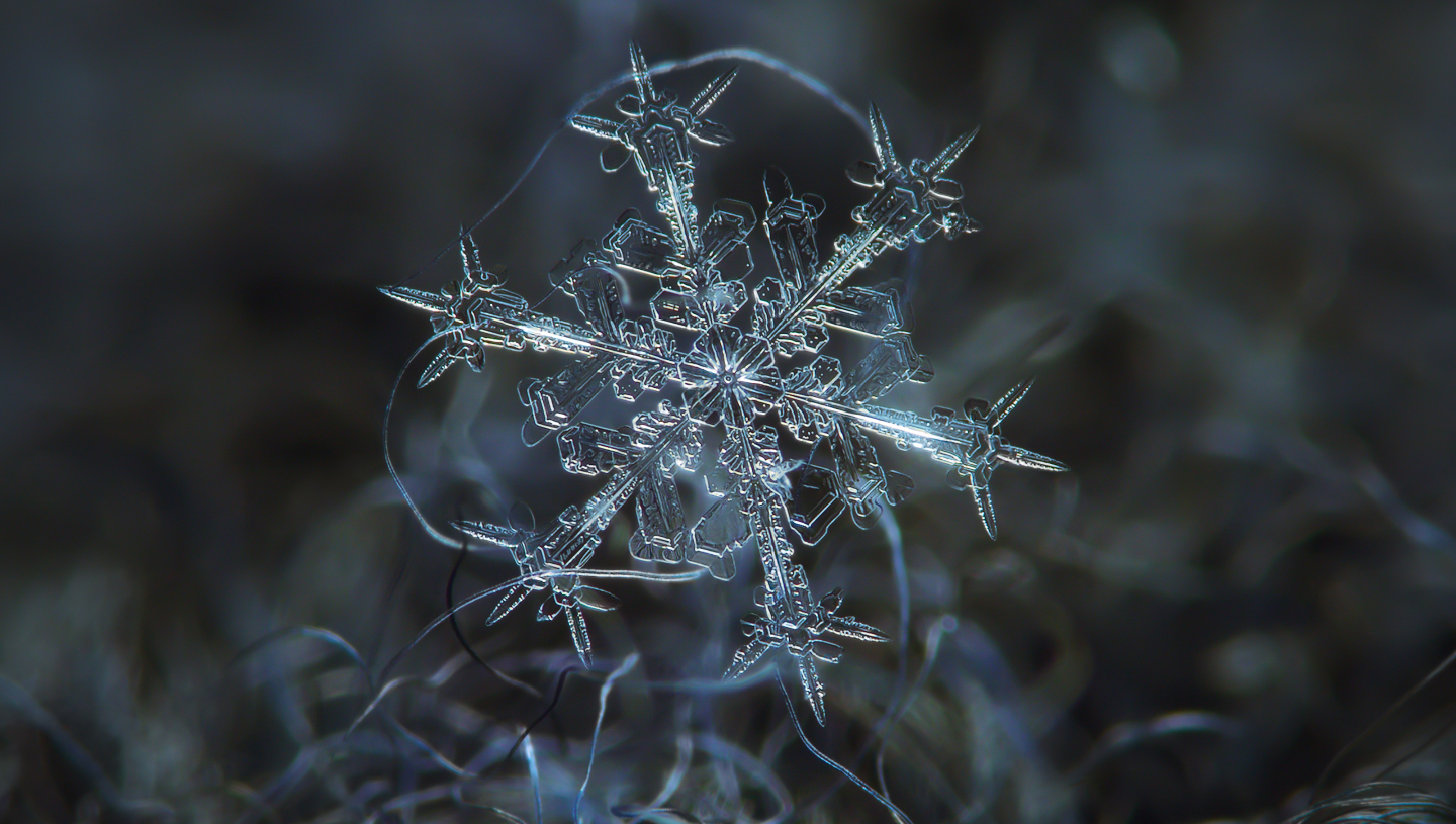 Процесс роста носит хаотический, нелинейный характер, где малейшее начальное различие (например, положение первой молекулы воды на пылинке) лавинообразно нарастает, приводя к совершенно разным результатам