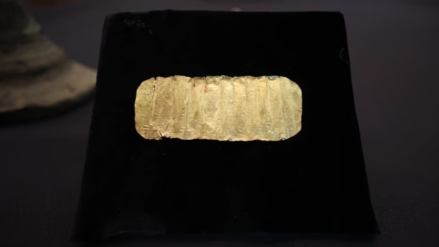 Фанагорийская археологическая экспедиция