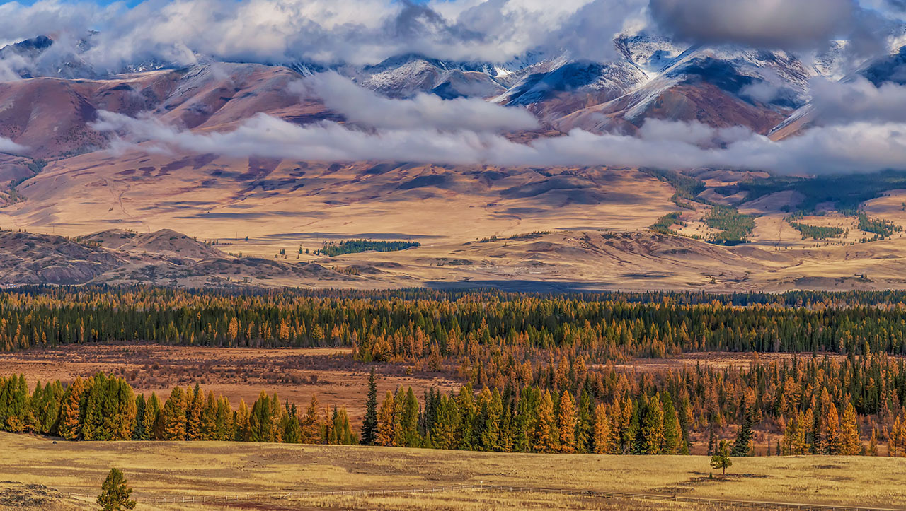 Курайская степь