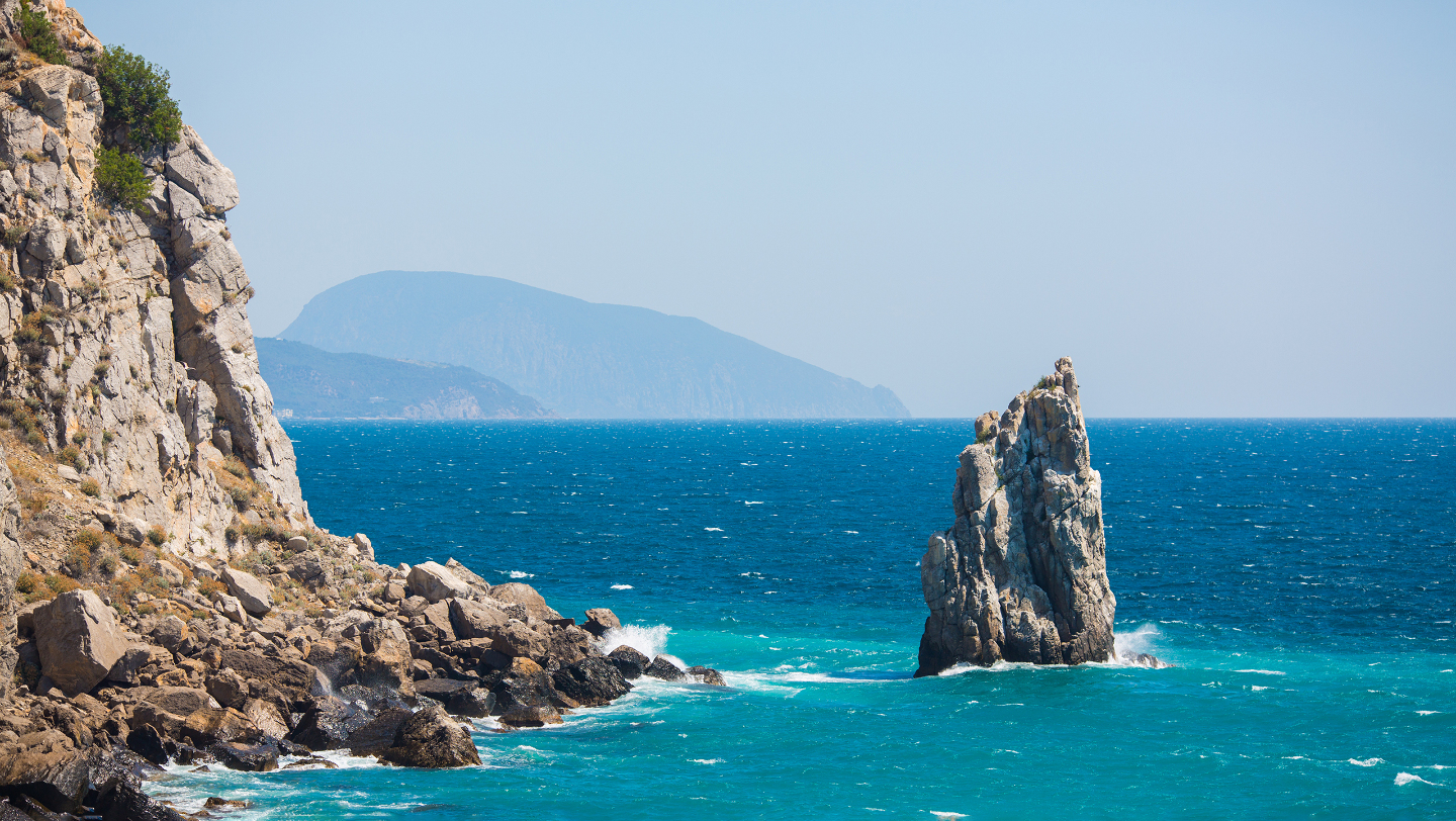 обитатели черного море