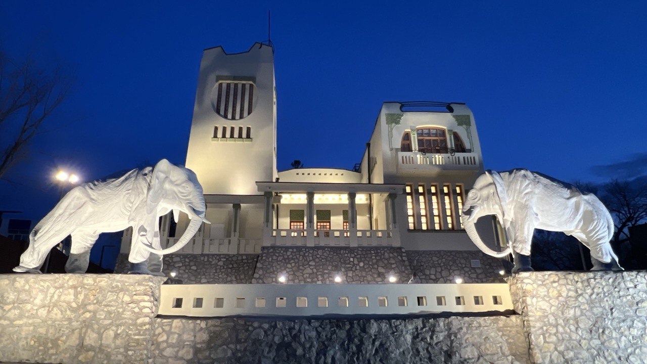 Дом со слонами