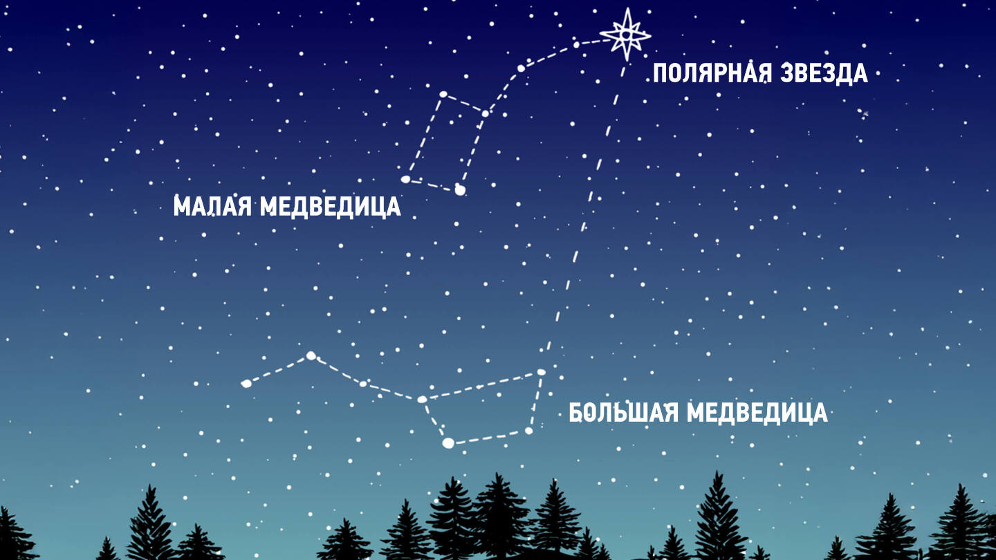 полярная звезда