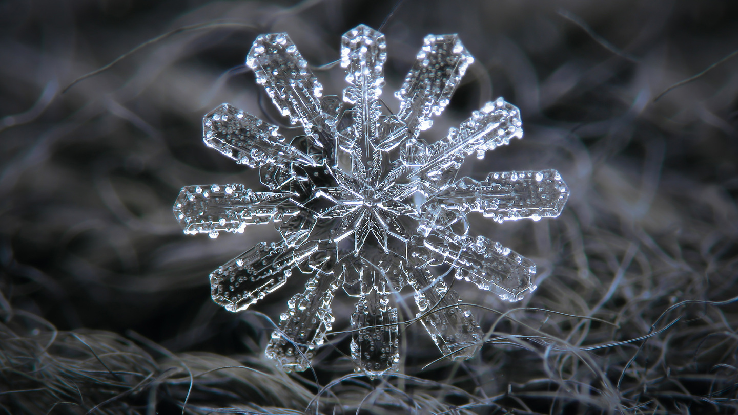 При многократном увеличении снежинки кажутся произведениями ювелирного искусства, а текстильное волокно — чем-то и вовсе фантастическим!