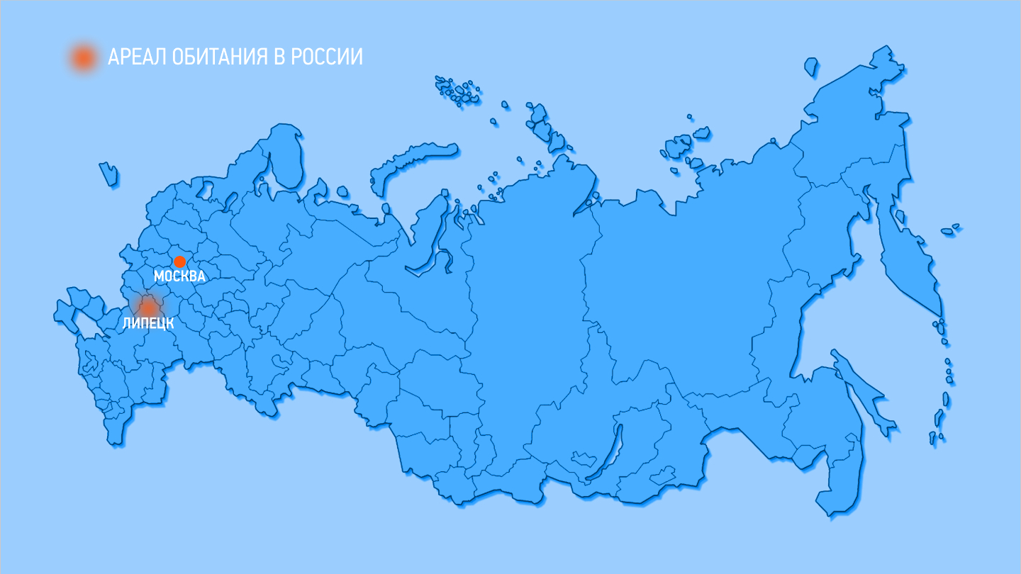 Где обитает