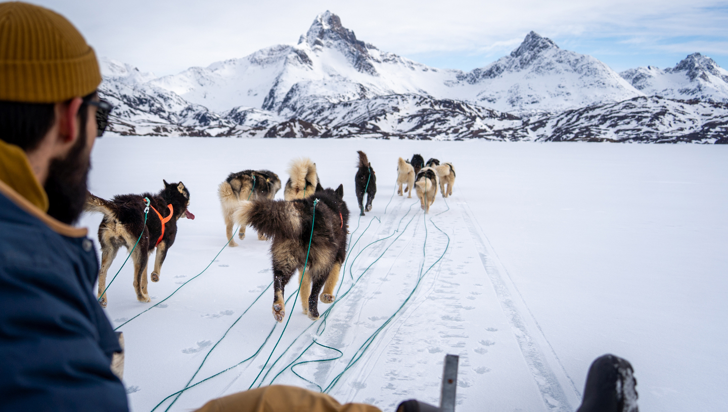 Собачья упряжка