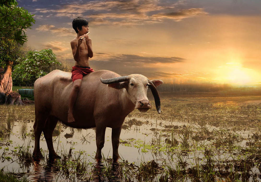 Пусть весь мир подождет Телеканал «Моя Планета»