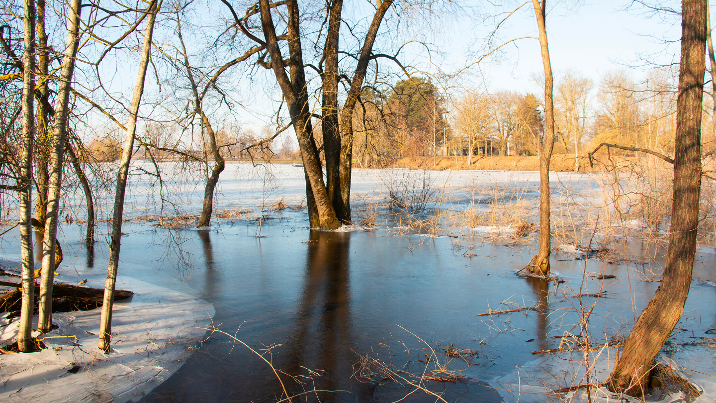 Режим и тип питания