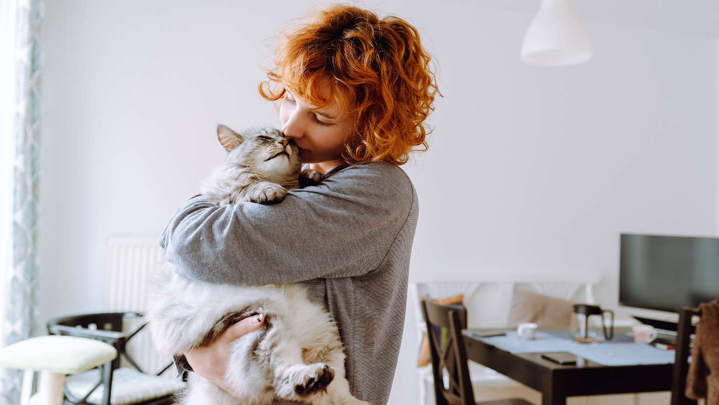 кошка, пакет