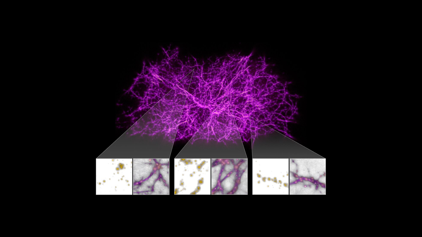 можно ли увидеть темную материю