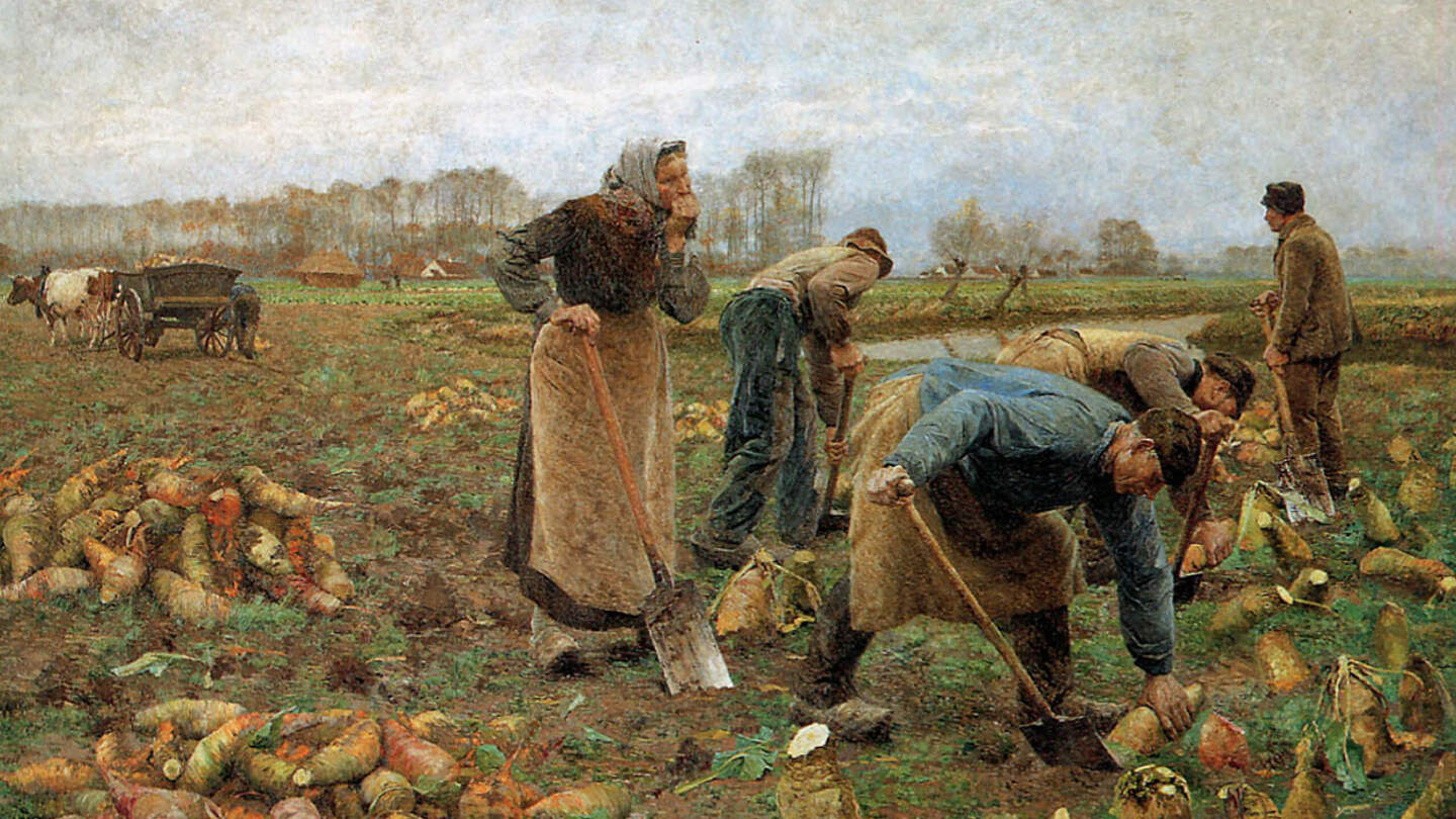 Почему на Руси была популярна репа