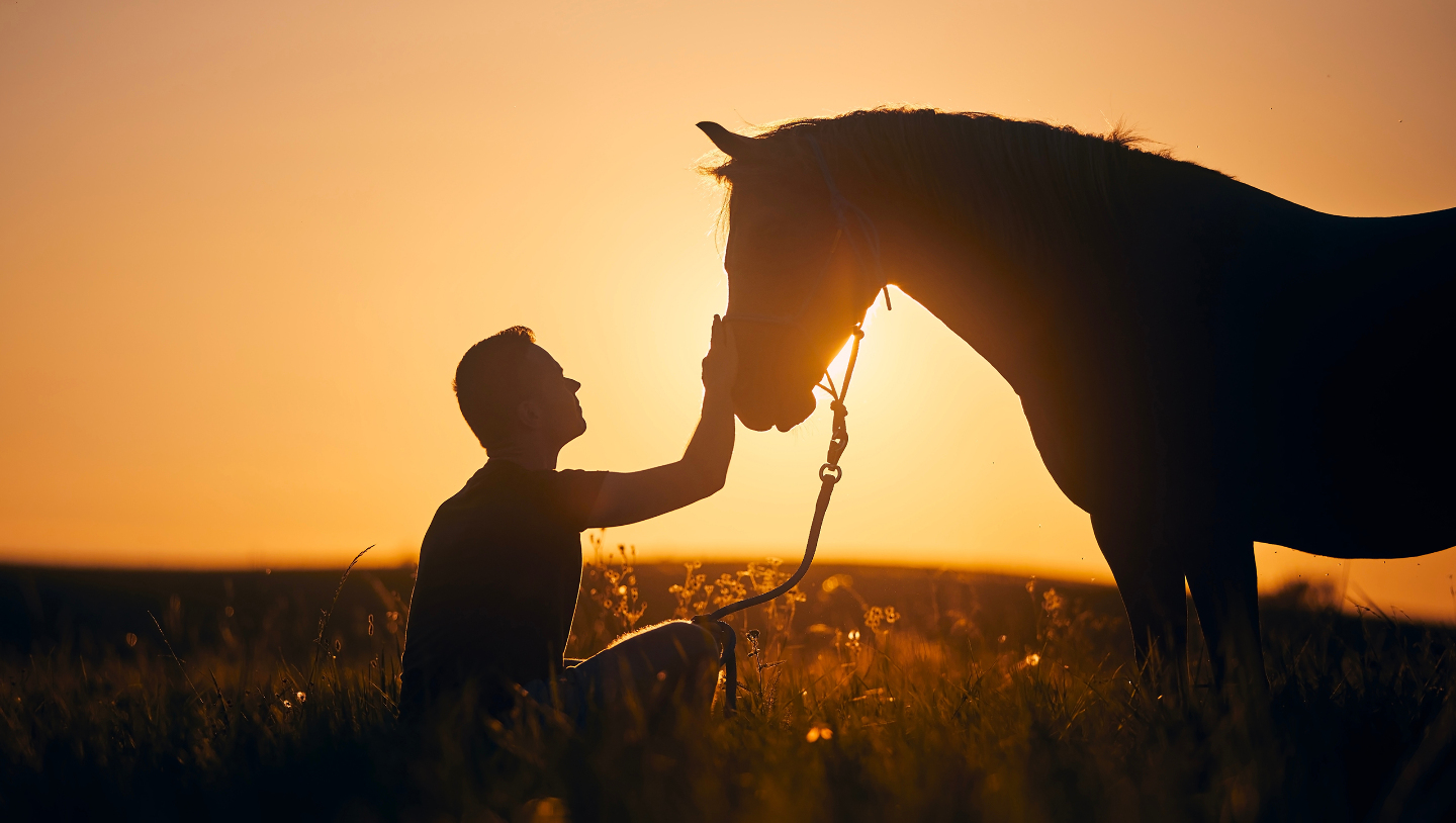 Одомашнивание лошади