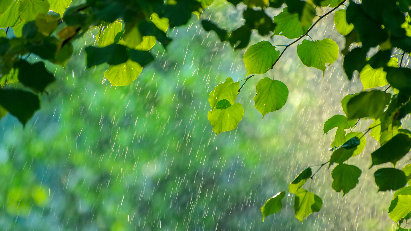 как микробы влияют на погоду