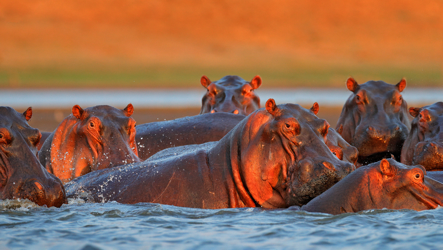 Интересные факты