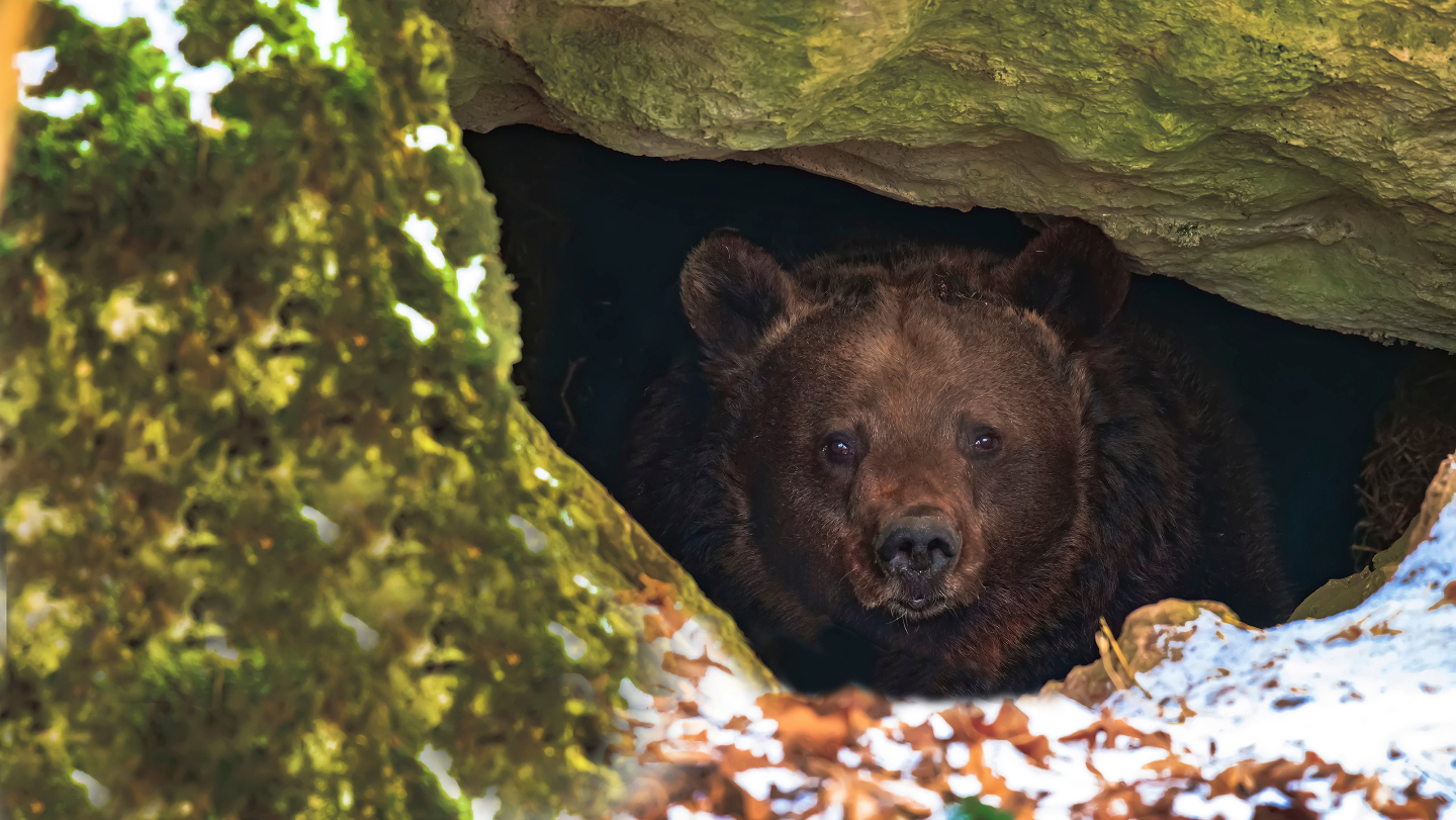 интересные факты