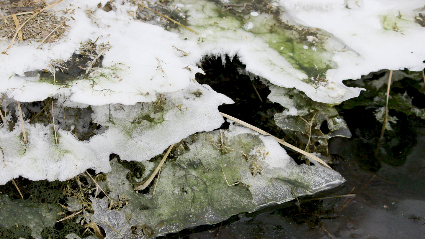 Если снег окрашен из-за близкого промышленного выброса (например, сажей или химикатами), он может представлять реальную опасность для здоровья и экологии