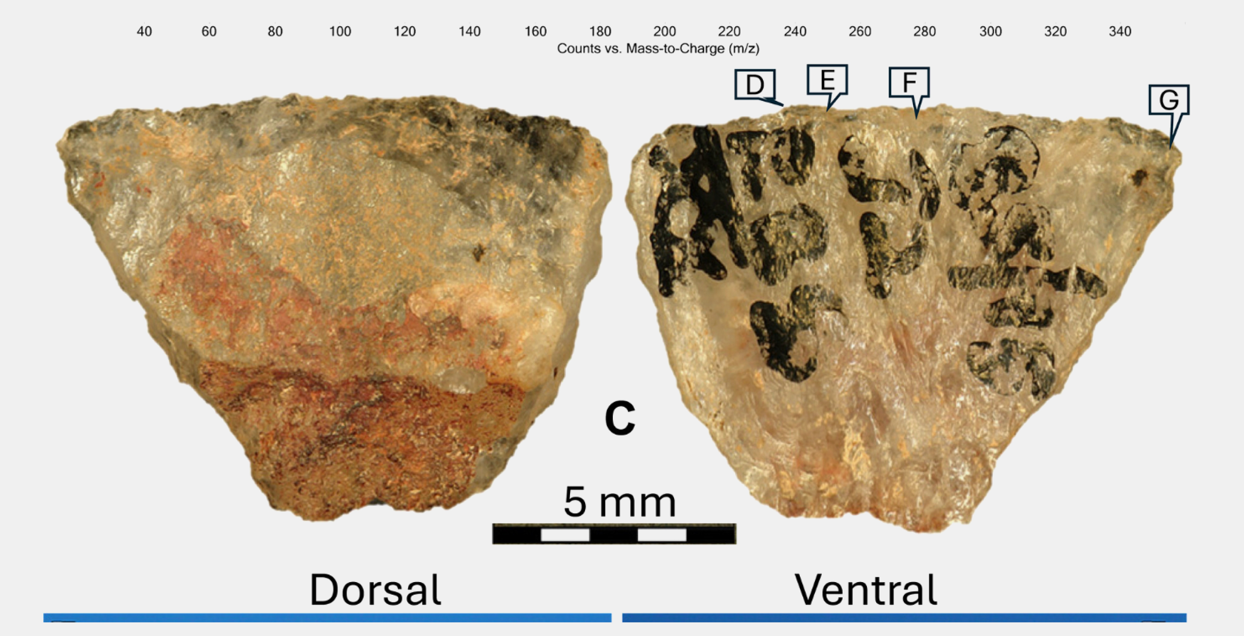 Древние охотники