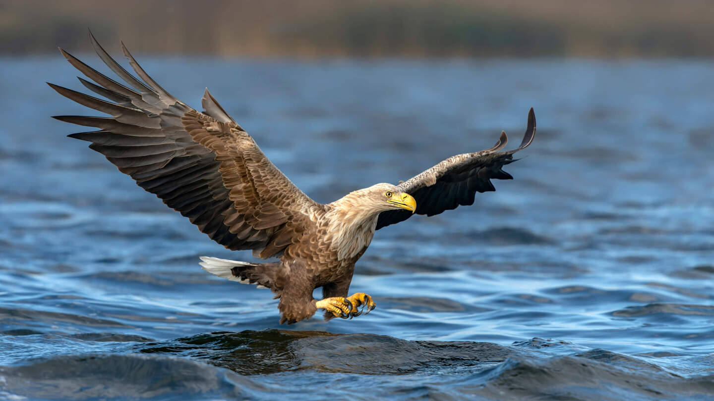 заказник «Клязьминско-Лухский»