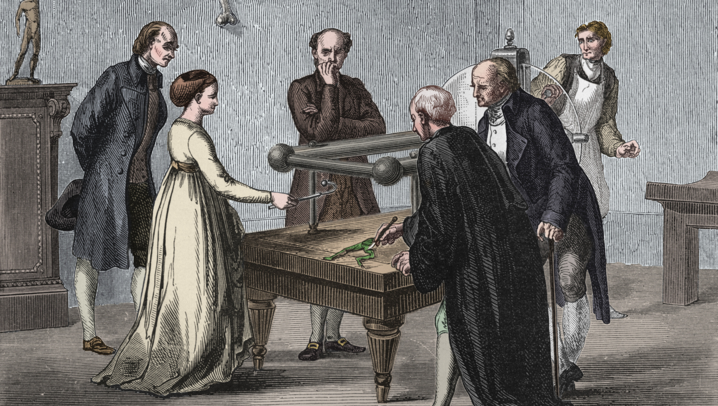 Лягушка Луиджи Гальвани