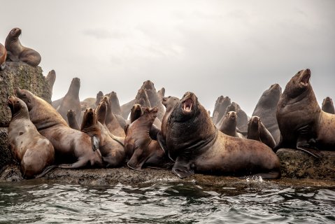 Все в сборе - Тыщенко Максим Игоревич