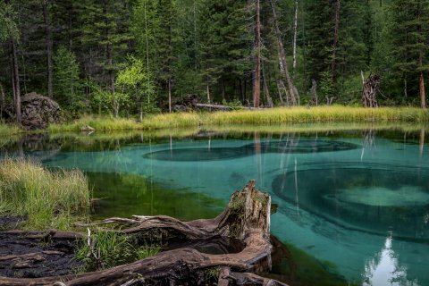 Гейзерное озеро - Моськина Ксения Владимировна
